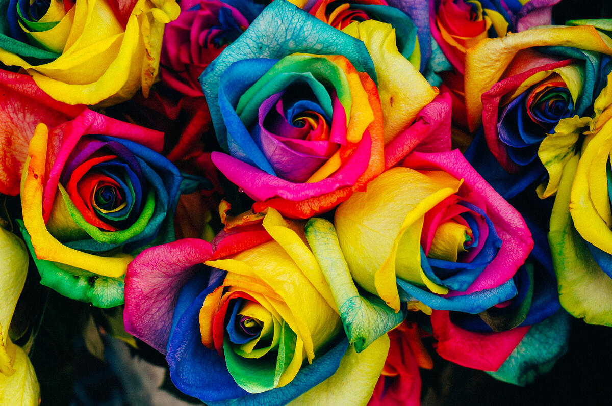 Букет разноцветных роз с цветами радуги