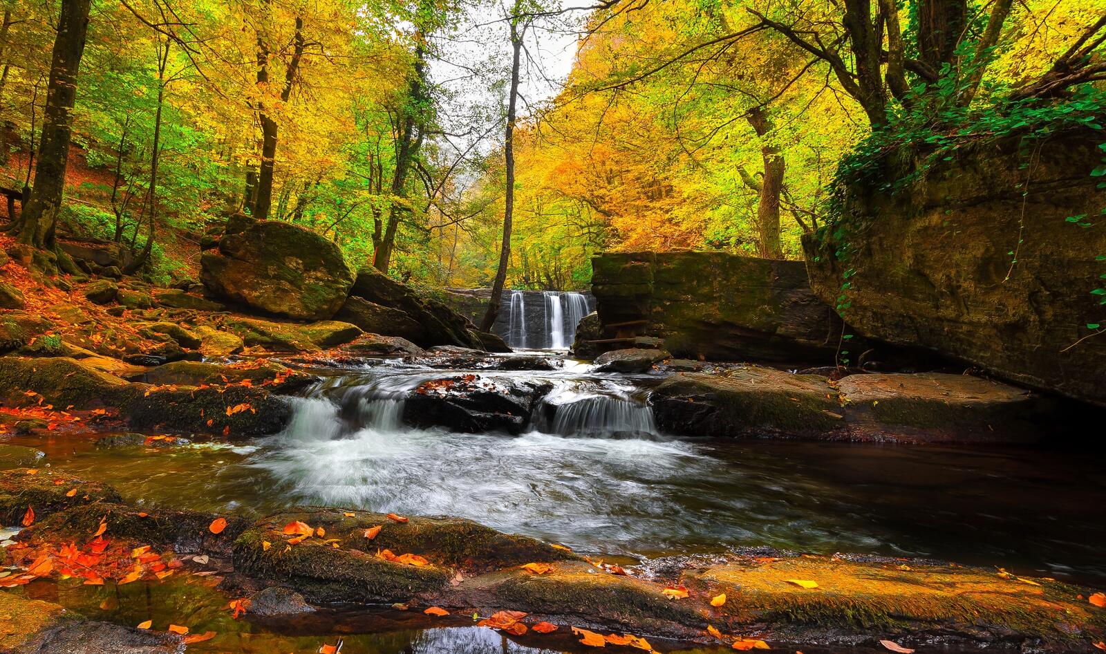 Wallpapers river autumn colors forest on the desktop