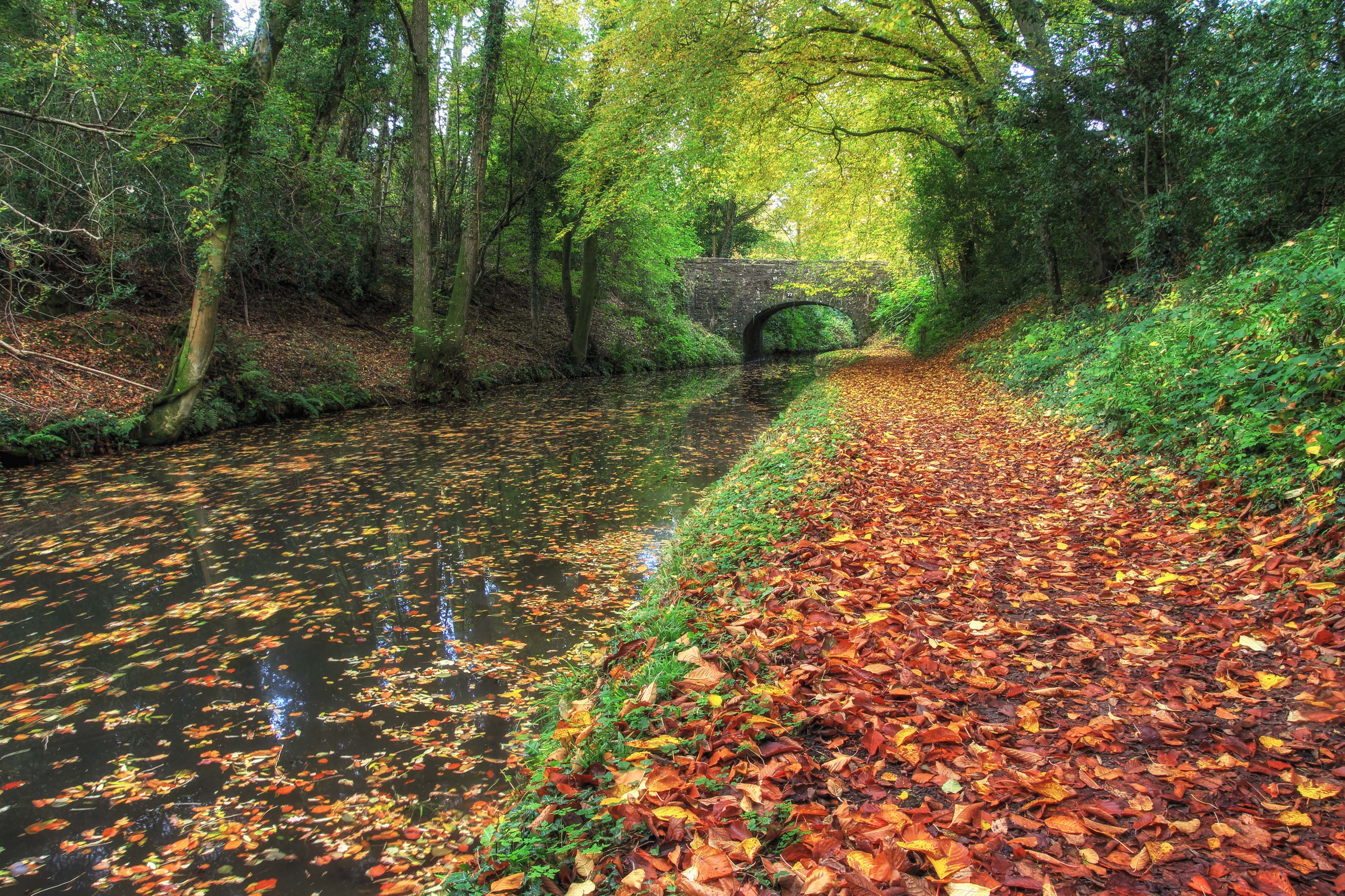 Wallpapers autumn colors canal trees on the desktop