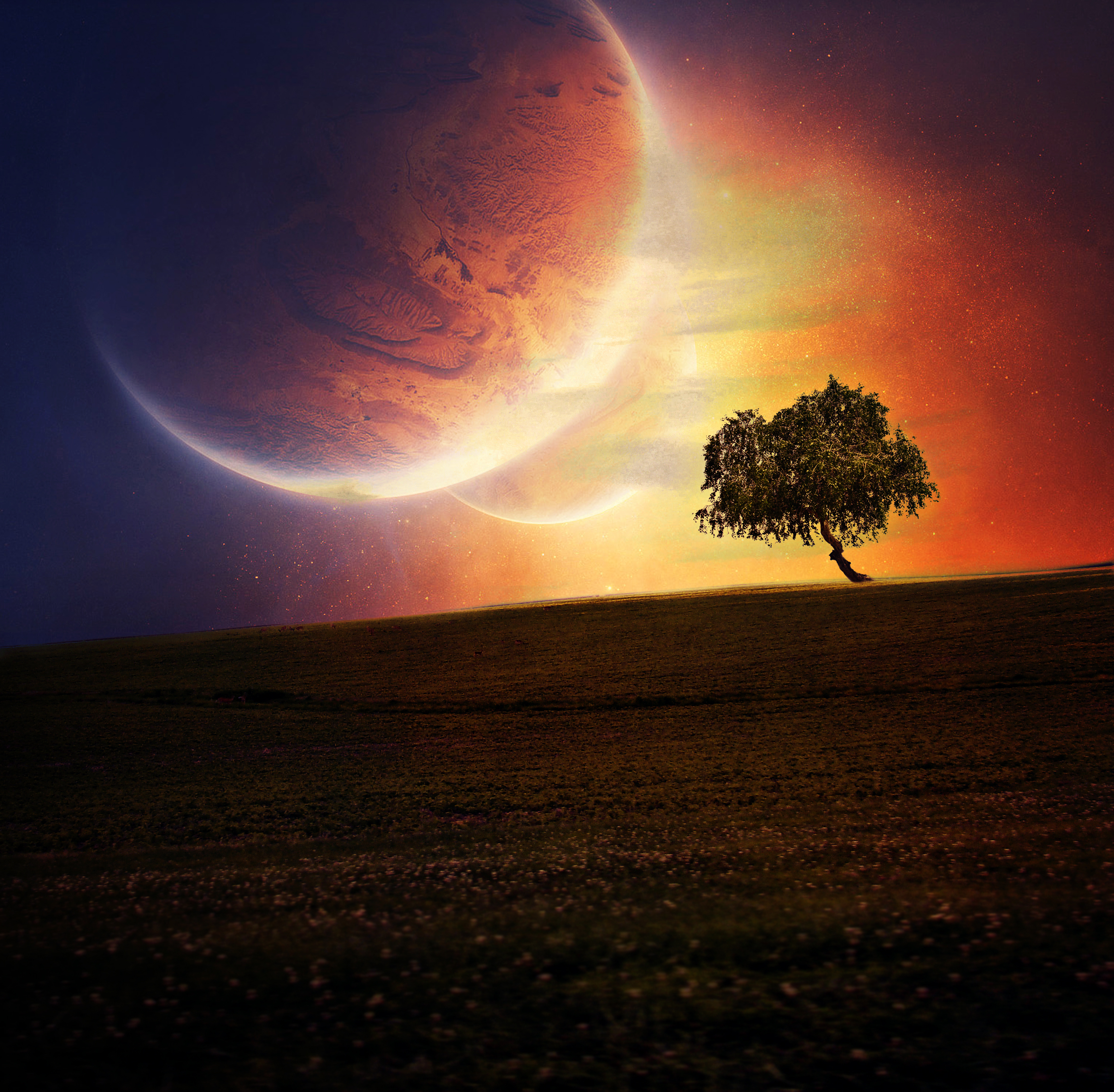 Фото бесплатно закат, поле, планета