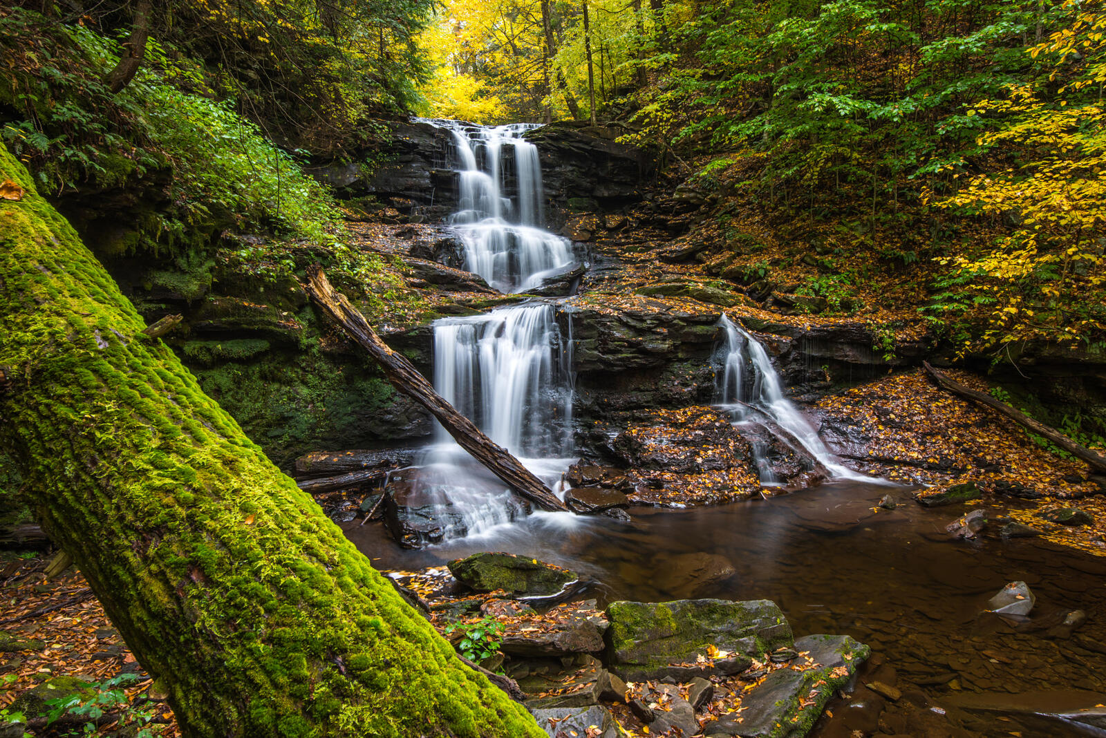免费照片宾夕法尼亚州的大自然