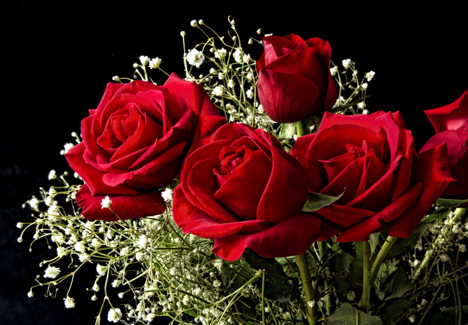 桌面上的壁纸玫瑰 红玫瑰 红色花束