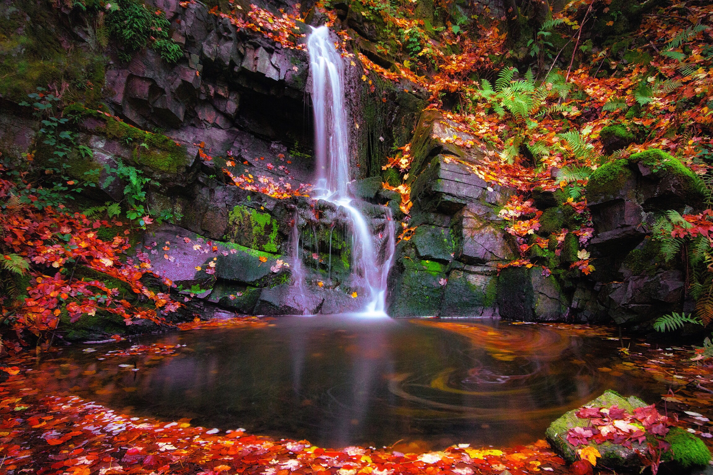 Wallpapers autumn waterfall rocks autumn leaves on the desktop