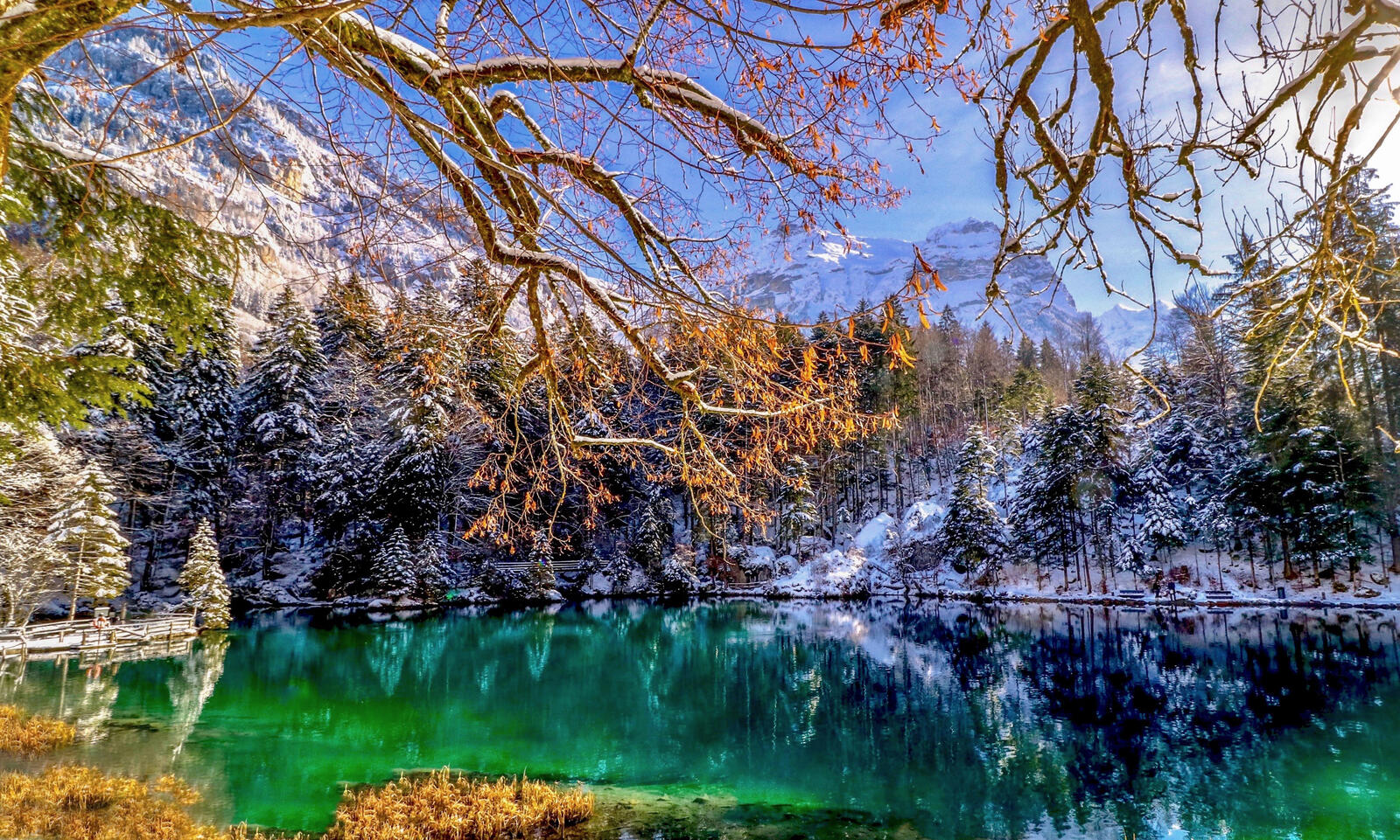 Wallpapers Blausee the Bernese Alps Bergsee on the desktop