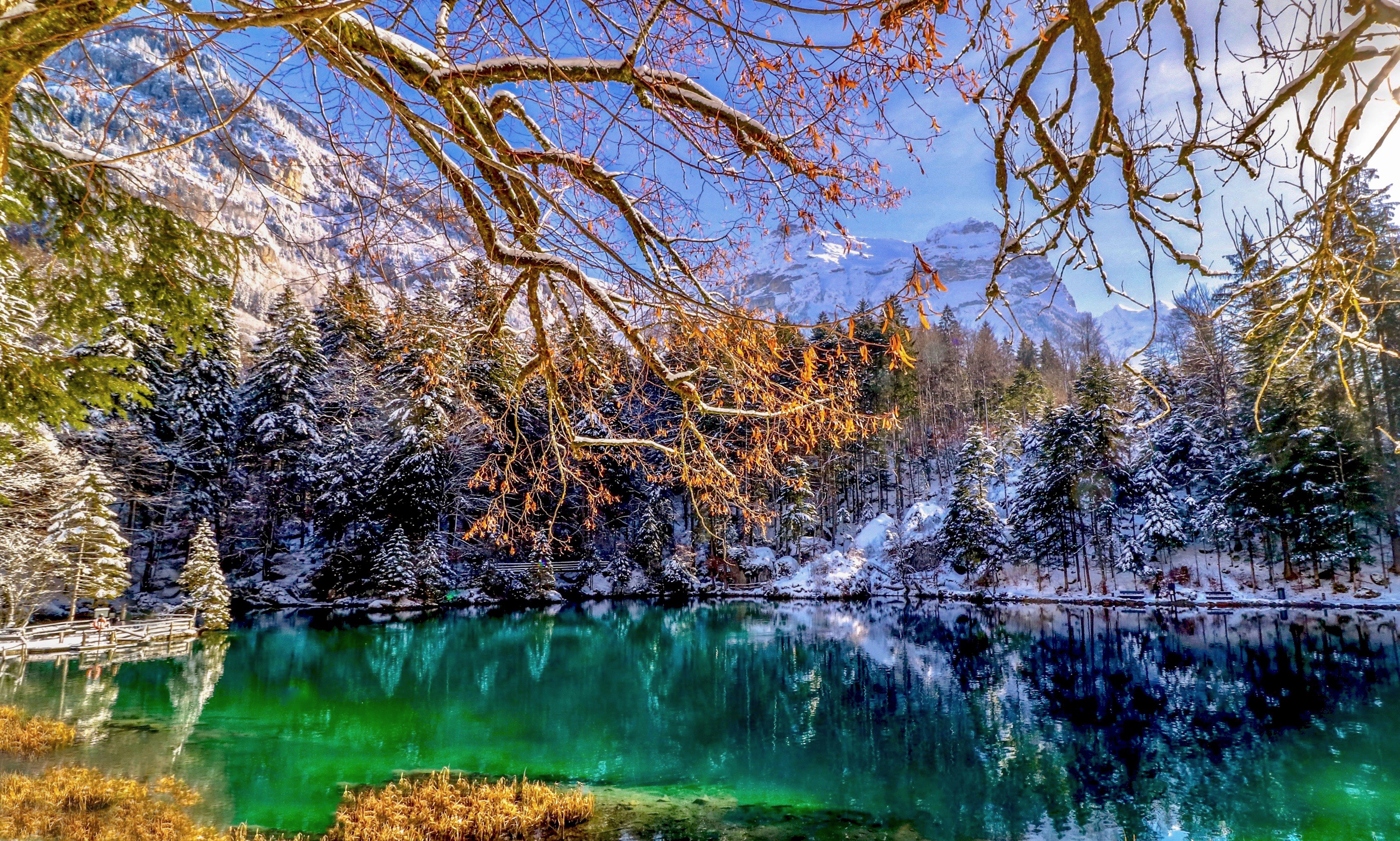 Wallpapers Blausee the Bernese Alps Bergsee on the desktop